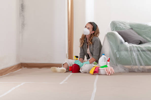 Reliable Mold Cleanup contractor in Vernon Hills, IL by WQB Mold Removal